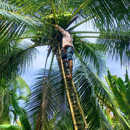 Villa Coco Happy Farm Ben Tre Exterior foto