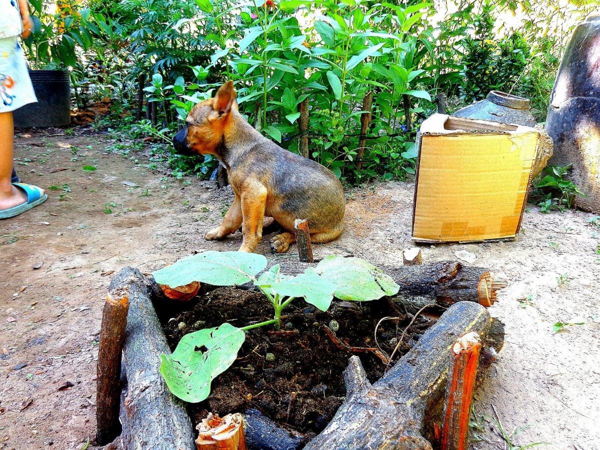 Villa Coco Happy Farm Ben Tre Exterior foto