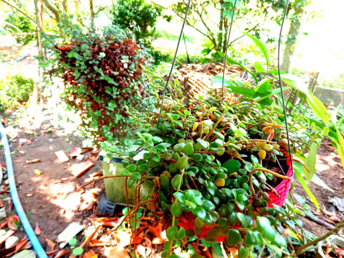 Villa Coco Happy Farm Ben Tre Exterior foto