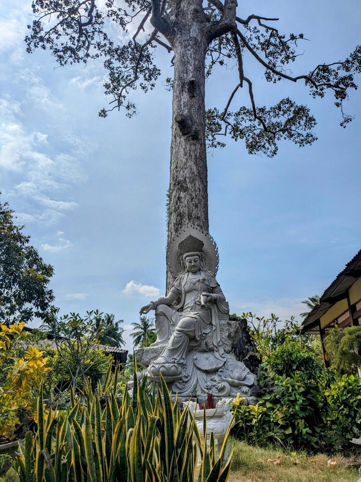 Villa Coco Happy Farm Ben Tre Exterior foto