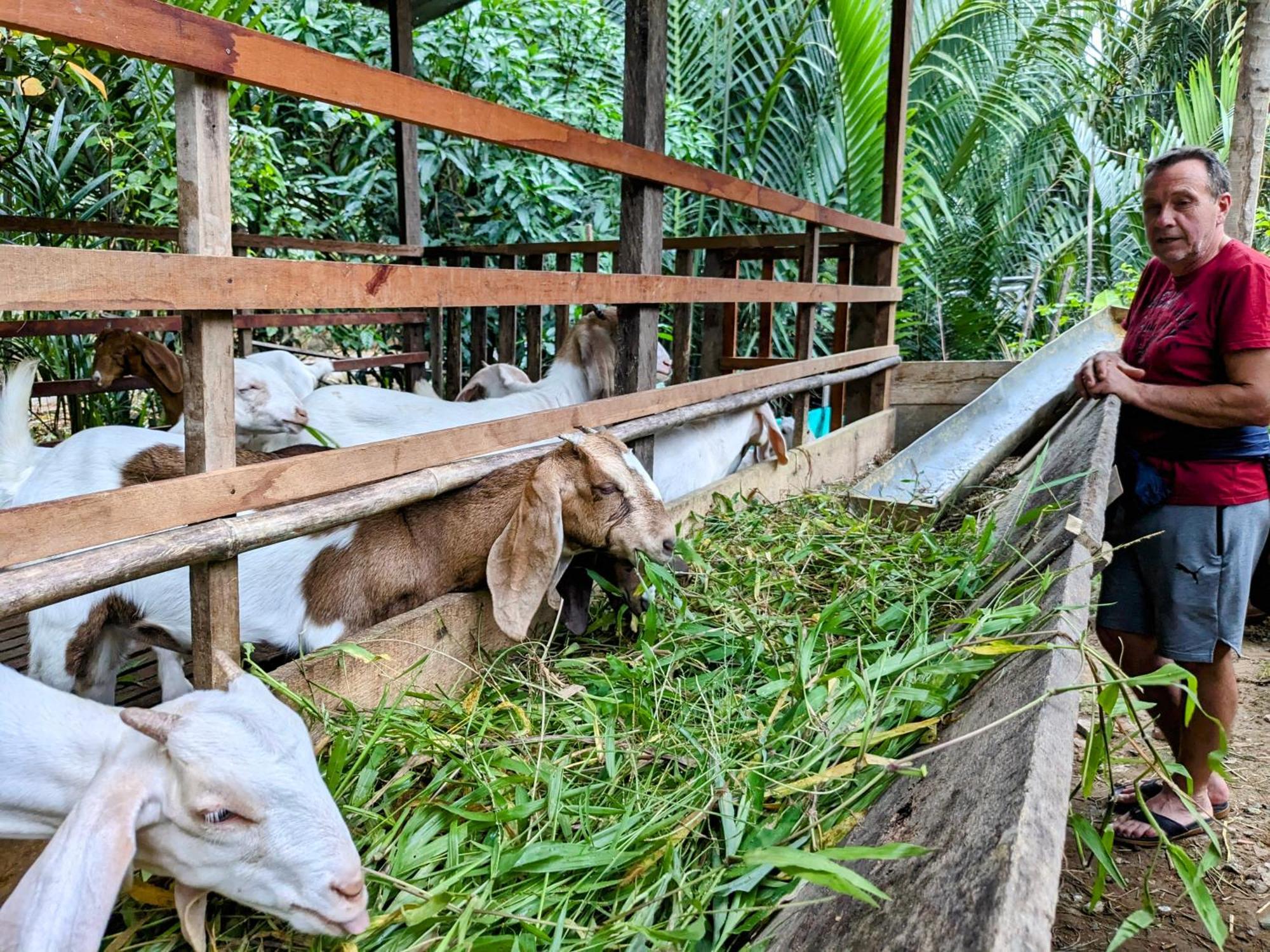 Villa Coco Happy Farm Ben Tre Exterior foto